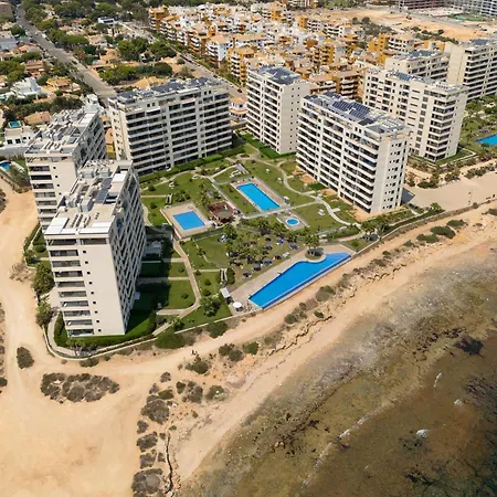 Coral Posidonia Torrevieja