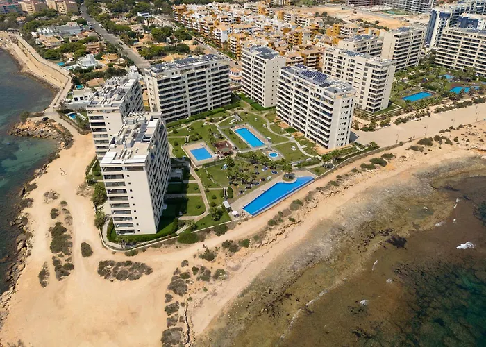 Coral Posidonia 托雷维耶哈